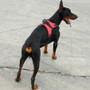 Heavy Duty Dog Harness - Multiple Colors