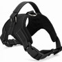 Heavy Duty Dog Harness - Multiple Colors