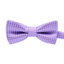 Pet Dog Polka Dot Bow Tie