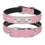 Free Personalized Engraving Leather Cat Collar