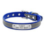 Free Personalized Engraving Leather Cat Collar