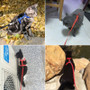 Adjustable Pet Cat Harness & Leash