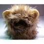 Funny Cute Pet Costume Cosplay Lion Mane Wig Cap Hat for Cat Halloween Xmas Clothes Fancy Dress with Ears Autumn Winter