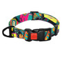 Dog Collars