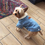 Winter Dog Jacket