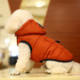 Winter Dog Coat