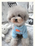 Cute Bear Winter Dog Clothes