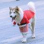 Christmas Dog Clothes