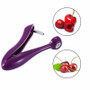 KitchenCherry Fruit Core Seed Remover