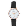 2021 NEW Watch Women Fashion Casual Leather Belt Watches Simple Ladies' Small Dial Quartz Clock Dress Wristwatches Reloj mujer