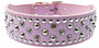 Studded 2 Inch Wide leather Dog Collar