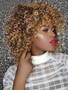 Foxwigs Lace Front Wigs Long Shaggy Colormix Afro Kinky Curly Hair Wig/Free Shipping