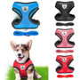 Breathable  Harness and Leash Puppy Set