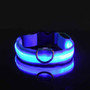 USB Rechargeable Dog or Cat LED Flashing Collar Leash