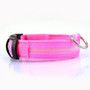 USB Rechargeable Dog or Cat LED Flashing Collar Leash