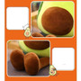 Kawaii Avocado Stuffed Toy Plush Fruit Pillow #JU2898