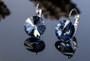 Swarovski Earrings