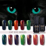 Cat Eye Nail Polish