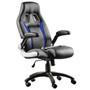 Furgle Racing Office Chair Ergonomic Executive Chair 360° Rotatable with Adjustable Headrest Gaming Chair in Office Furniture