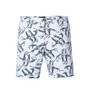 Printed Summer Shorts