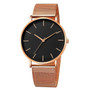 Mesh Band Stainless Steel Analog Quartz Wristwatch