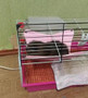 Warm Plush Cloth Hamster Chinchilla Hammock Guinea Pig Rabbit Hanging Bed Cage Accessories Pet Toys Pink Blue