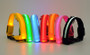 Bright Dog Collar, Night Safety Glow In The Dark Dogs Collar, Cool Luminous Fluorescent Collars