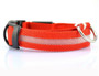 Bright Dog Collar, Night Safety Glow In The Dark Dogs Collar, Cool Luminous Fluorescent Collars