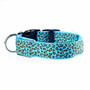 Wild Leopard Led Flashing Collar