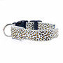 Wild Leopard Led Flashing Collar