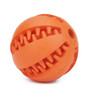 Rubber Interactive Elasticity Ball Dog Chew treat Toy