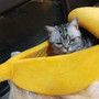 Banana Shaped Dog/Cat House Kennel