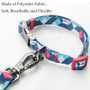 Dog Collar & Leash Set