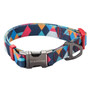 Dog Collar & Leash Set