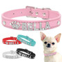 Personalized Rhinestone Dog Collars