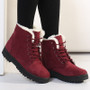 Women Boots Warm Snow Boots 2019 Heels Winter Boots Female Fur Plush Insole Ankle Boots For Women Shoes Winter Warm Botas Mujer