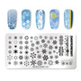 Nail Stamping Plates