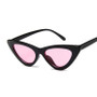 ZBHWISH Cateye Women Sexy Retro Small Cat Eye Sun Glasses