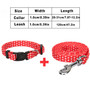 Small Dog Nylon Leash & Collar Set