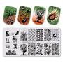 Nail Stamping Plates Summer Flower Feather