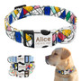 Nylon Dog Collar