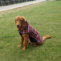 Waterproof Reversible Dog Plaid Jacket