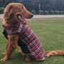 Waterproof Reversible Dog Plaid Jacket