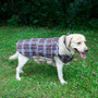 Reversible Dog Jacket Coat Windproof