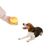 Pets Hamburger Shaped Squeaky Chew Toys