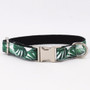 TROPICAL | DOG COLLAR & BOW TIE