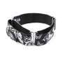 BUTTERFLY | MARTINGALE DOG COLLAR