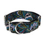 PAISLEY | MARTINGALE DOG COLLAR