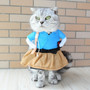 Pet Halloween Costume Cat Dog Clothes Yellow Haired Man Wear Dress Up Clothing for Small Dogs Cats