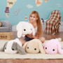 Kawaii Bunny Plush Toy